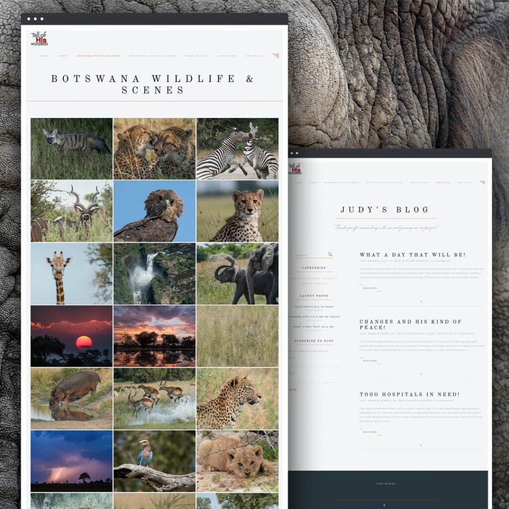 WordPress Website / Gallery Website